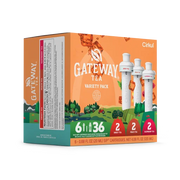 Gateway Tea® 6-Pack Variety Pack - Modern Ready